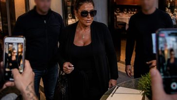 Patricia 'Tan Mom' Krentcil's ICE Claim Has No Evidence